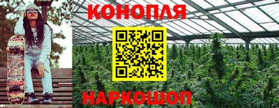 PSILOCYBIN Пенза