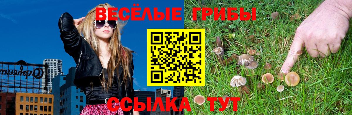 Галлюциногенные грибы Psilocybine cubensis Ялта