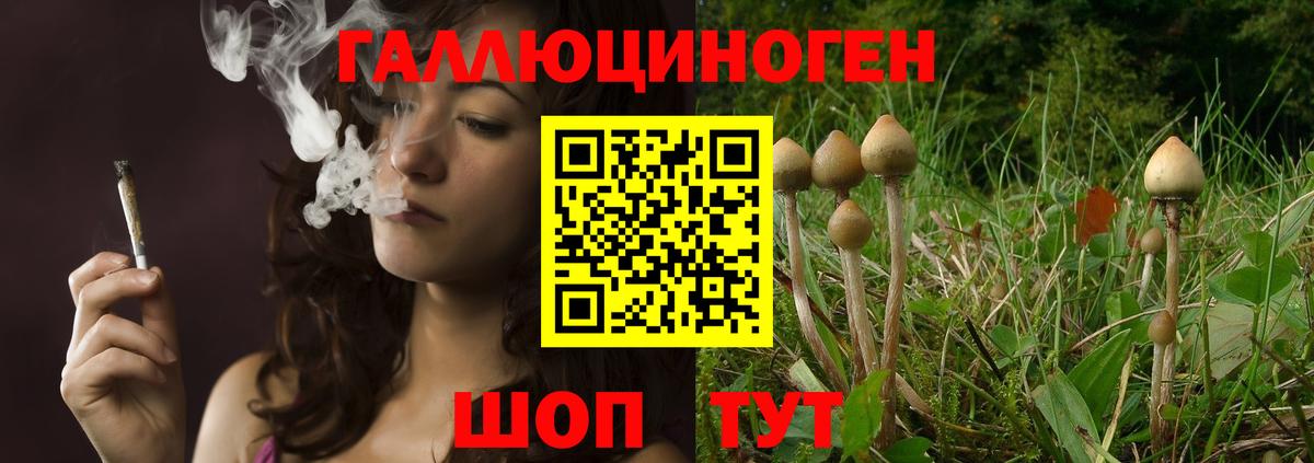 Ялта  Галлюциногенные грибы мухоморы  Вход с VPN 